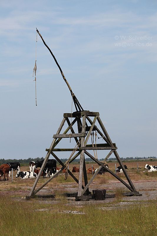 090630-2247 - Steinschleuder